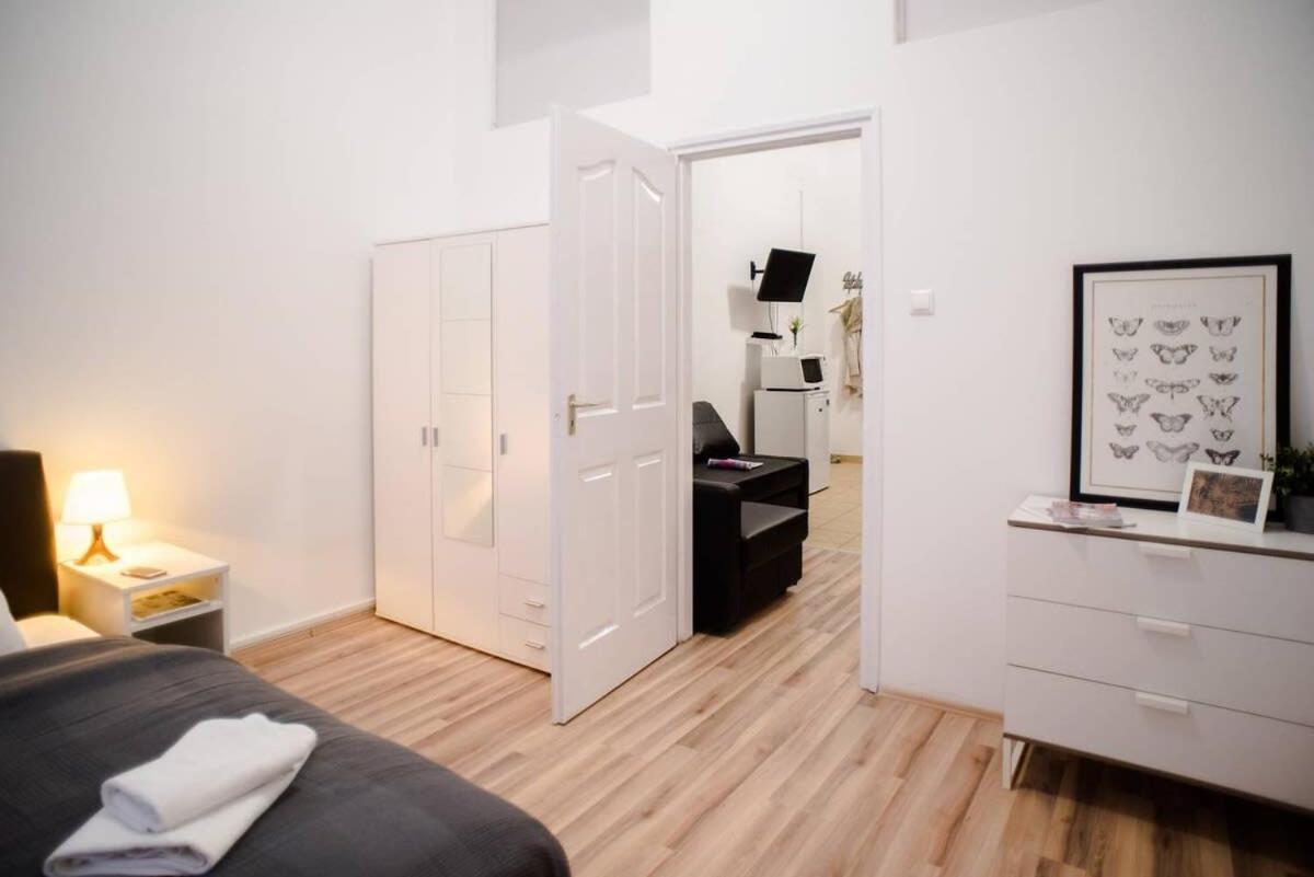 Very Central Spacious Ac Apartment Будапеща Екстериор снимка